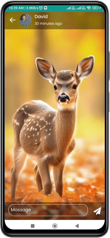 script_ScreenShort_15421Chat App13-status.png